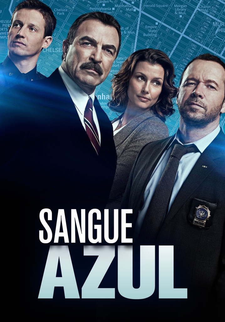 Donde assistir Blue Bloods ver séries online
